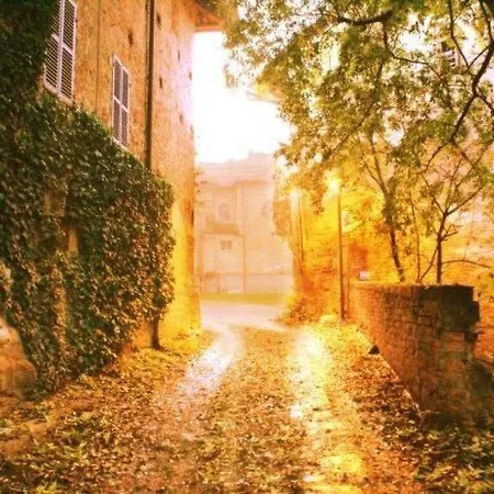 Vergissmeinnicht By Interhome