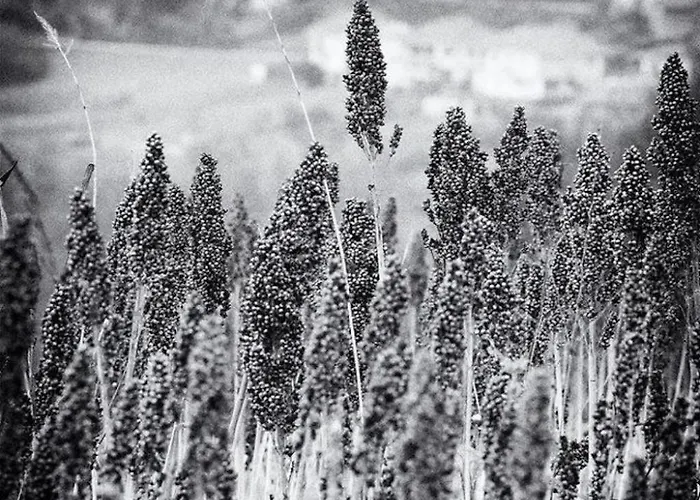 Vergissmeinnicht By Interhome アパート